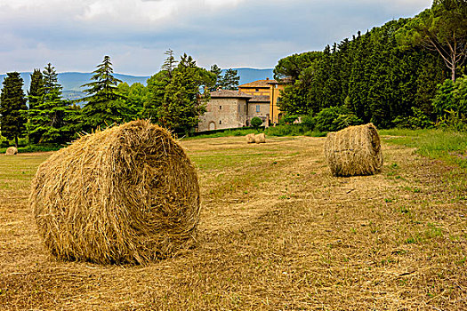 农舍,干草,托斯卡纳,意大利