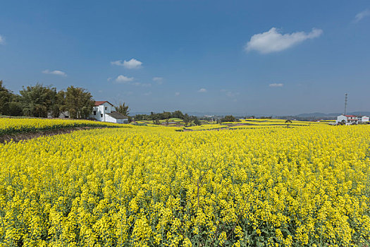 美丽乡村