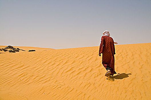 阿尔及利亚,撒哈拉沙漠,男人,走,石头