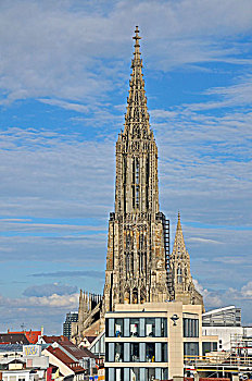 乌尔姆,大教堂,尖顶,测量,最高,教堂,塔,世界,建筑,正面,巴登符腾堡,德国,欧洲