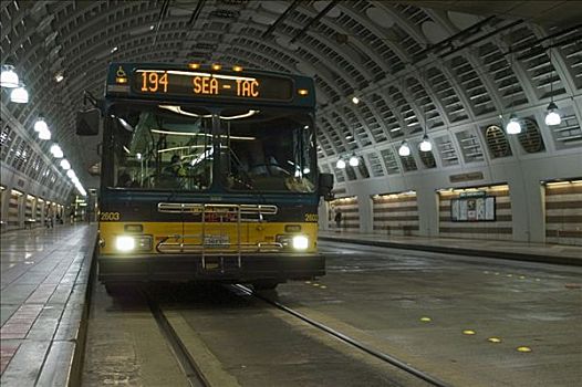 巴士,隧道,西雅图,华盛顿,美国