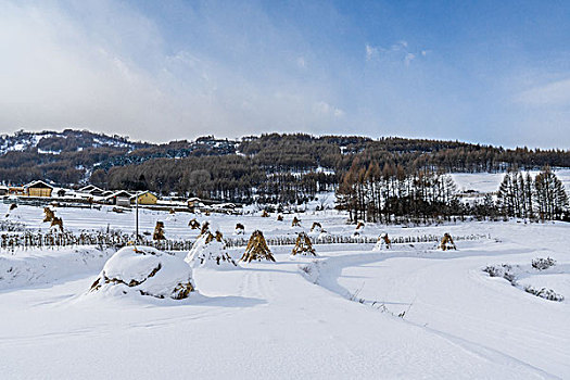 雪地,树林,村庄,雪村