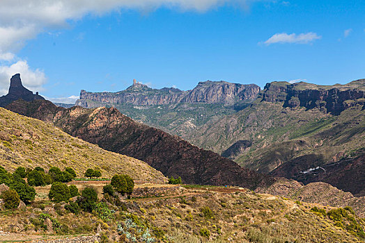 山,火山口,区域,大卡纳利岛,加纳利群岛,西班牙,欧洲