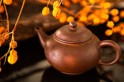 华人的节日,一家人团聚过中秋节,茶壶与干燥树仔