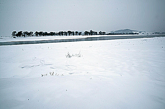 吉林雾凇岛雪景