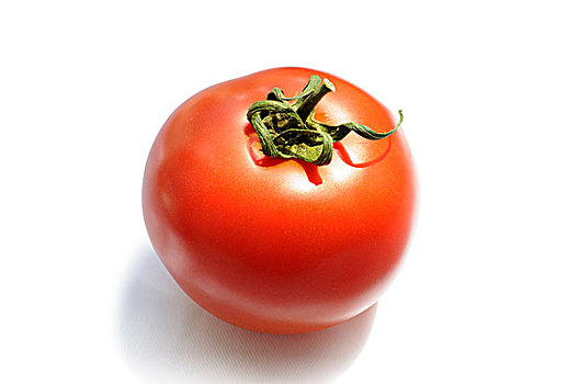 大,西红柿