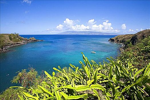 夏威夷,毛伊岛,湾,绿色,刷,远眺,鲜明,深海,莫洛凯岛,远景