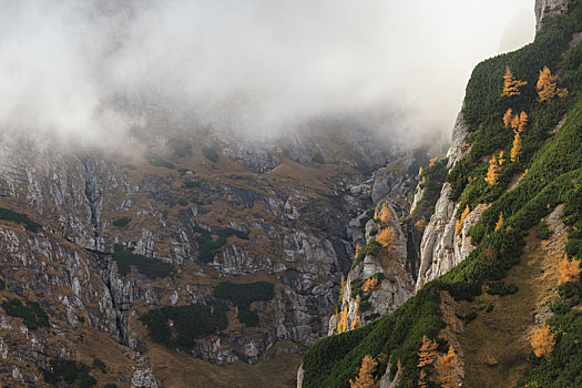 山谷,山,罗马尼亚