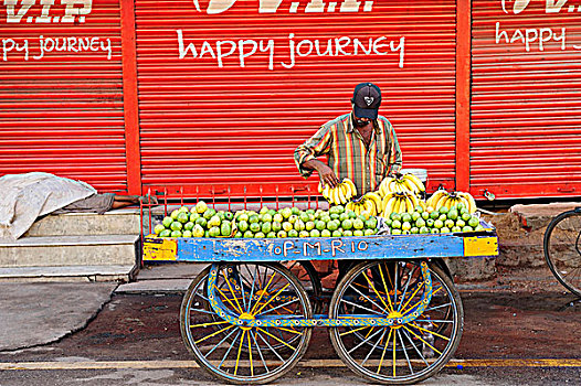 印度,安得拉邦,水果,销售