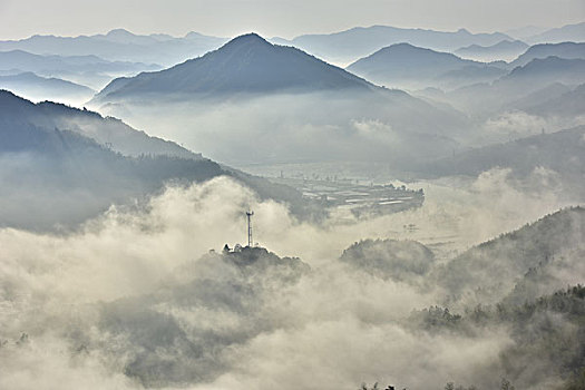 大别山湿地风光