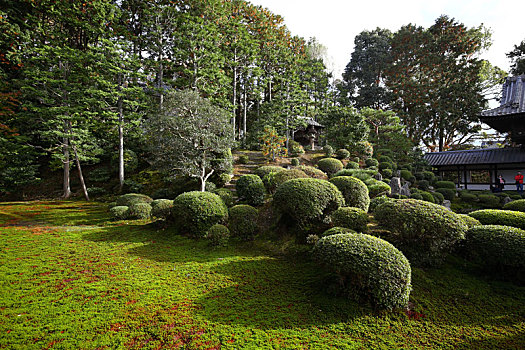 日本京都东福寺