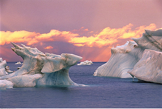 冰山,靠近,格雷斯海湾,加拿大