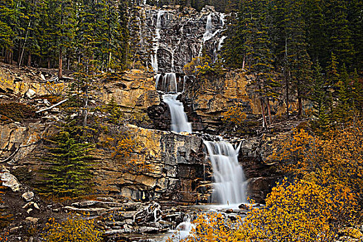 瀑布,树林,碧玉国家公园,艾伯塔省,加拿大