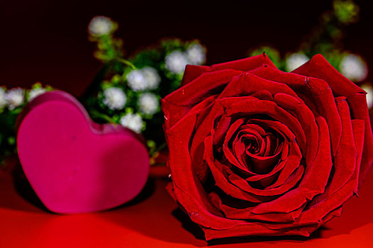 玫瑰花和心形