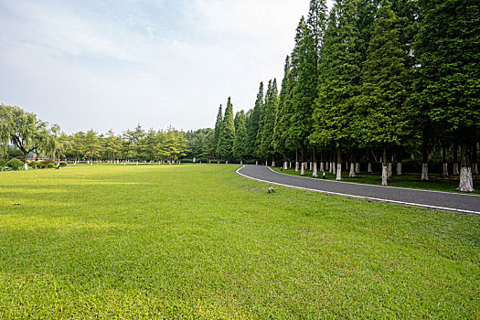 高速公路,天际线