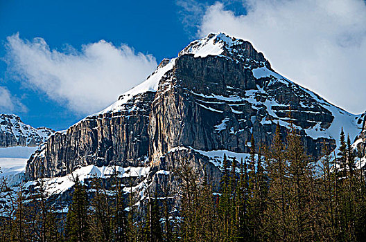 山峰,小路,顶峰,十峰谷,班芙国家公园,艾伯塔省,加拿大
