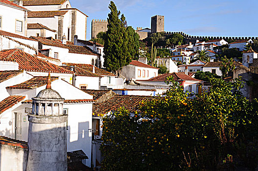 中世纪,房子,古城,奥比都斯,葡萄牙,城堡,墙壁