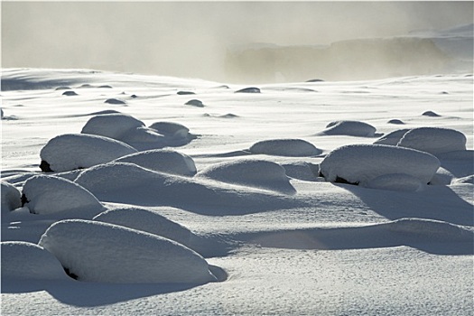 雪,火山岩,南,冰岛