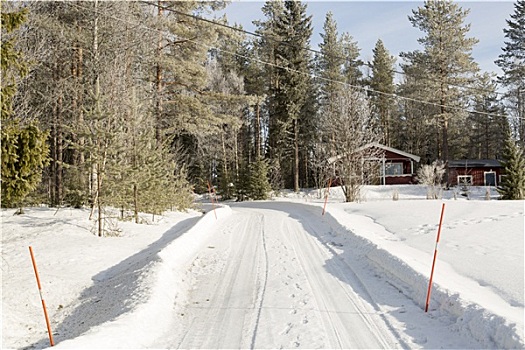 冬天,道路,红色,瑞典,屋舍