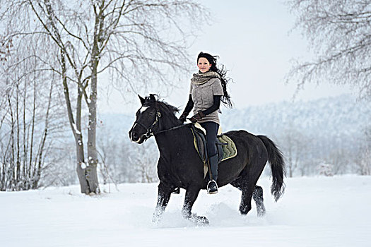 美女,骑,骑马,雪中