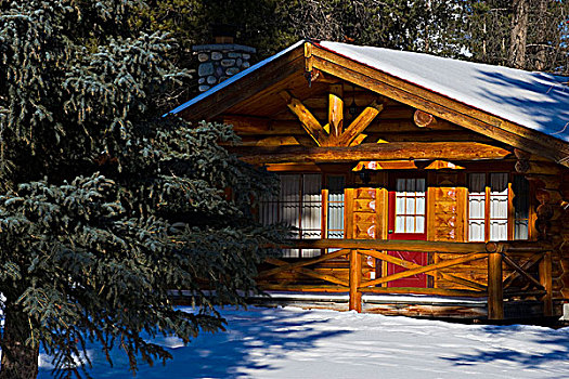 冬天,景色,木屋,针叶树,乡村,艾伯塔省,加拿大