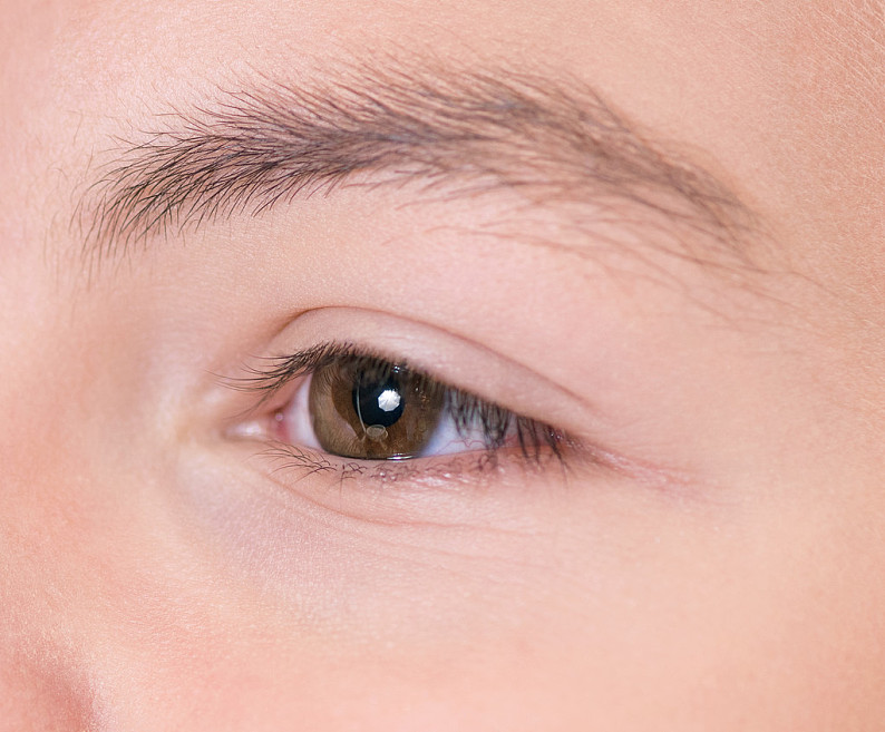 男孩_棕色眼睛_特写_看_高清图片_全景视觉