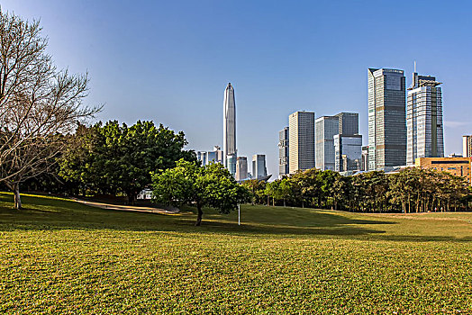 绿色草地与现代建筑