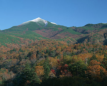 山