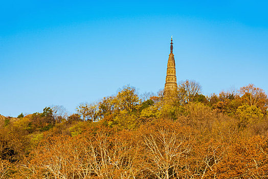 杭州宝石山保俶塔秋景