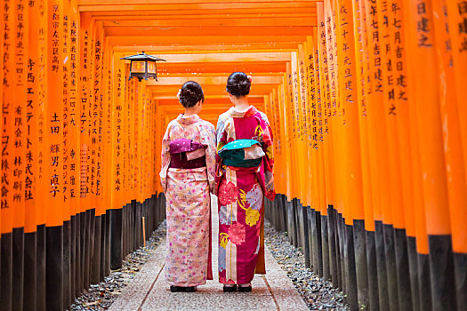 艺妓,红色,木质,鸟居,伏见,稻成,神祠,京都,日本