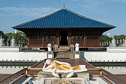 冥想,中心,科伦坡,斯里兰卡,亚洲