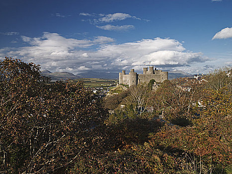 威尔士,格温内思郡,城堡,建造,国王,迟,13世纪,一个,要塞