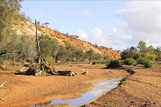 河,河床,自然保护区,西澳大利亚,澳大利亚