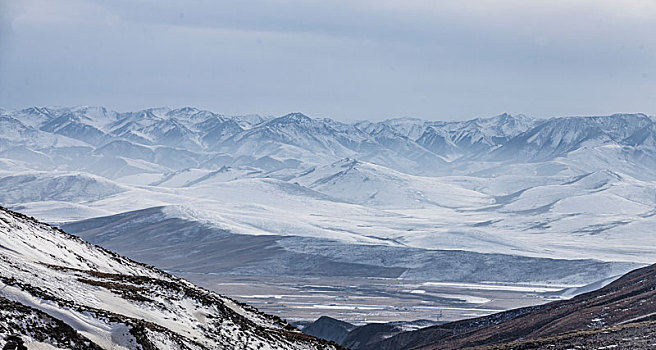 大美青藏高原,白雪皑皑