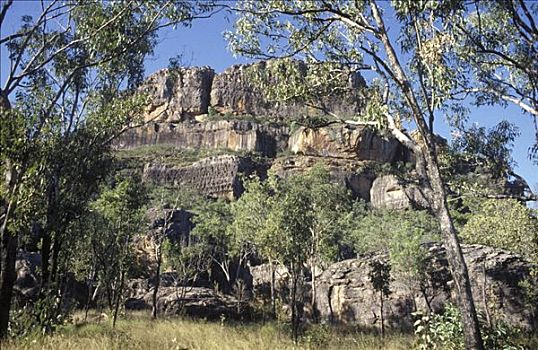 岩画,区域,聋,蝰蛇,溪流,阿纳姆,陆地,澳大利亚
