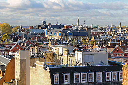 伦敦,屋顶,风景