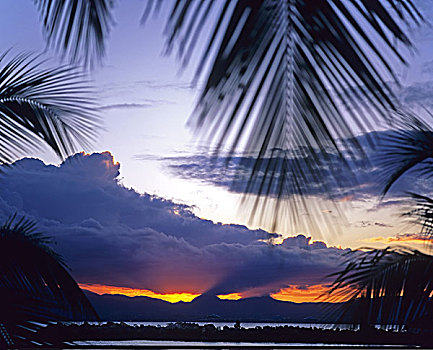 棕榈树,云,日落,瓜德罗普,法国,西印度群岛