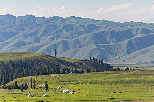 新疆伊犁那拉提草原
