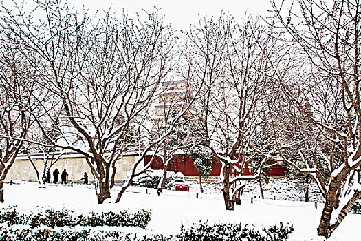 雪景