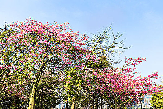 广东省广州市自然风光