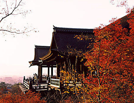 清水寺,京都,日本,佛教,佛,宗教