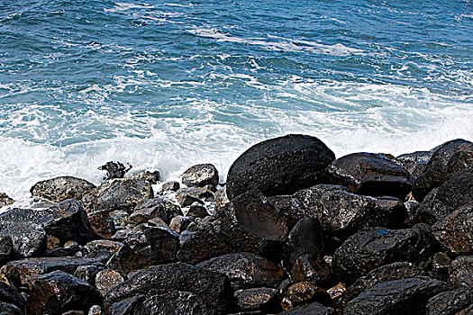 石头,海岸,南,夏威夷大岛,夏威夷,美国