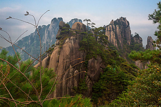 奇峰劲松三清山