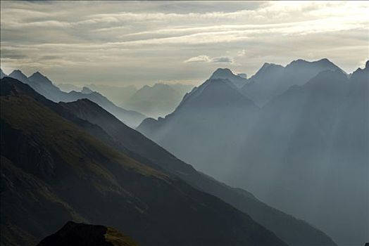晨雾,上方,山谷,奥地利,欧洲