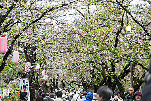 大仙市北上展胜地