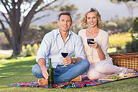 头像,微笑,坐,夫妇,野餐毯,喝,葡萄酒,公共草地