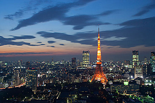 东京,夜晚,日本,亚洲