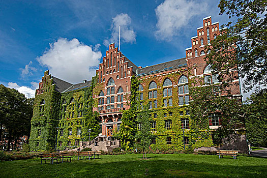 大学图书馆,瑞典,欧洲