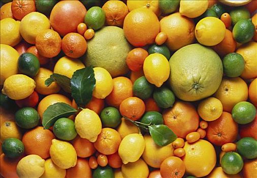 柑橘,水果,安静,生活