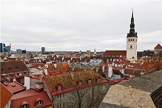 全景,老城,塔林,俯视,爱沙尼亚